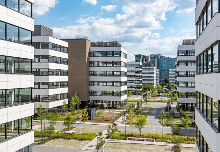 Business Garden